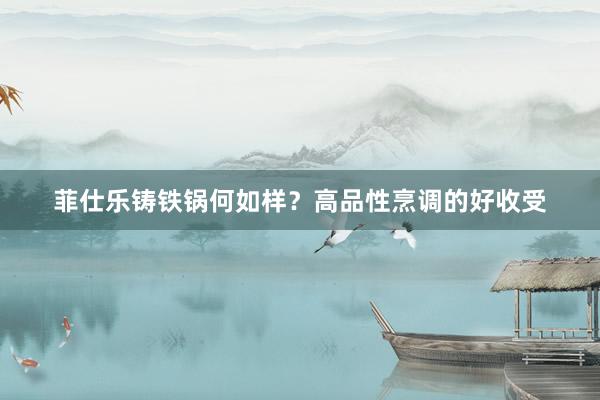 菲仕乐铸铁锅何如样？高品性烹调的好收受